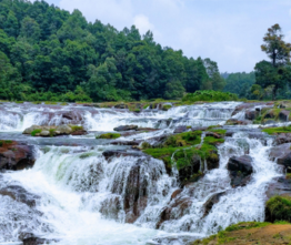 Untitled design (16)